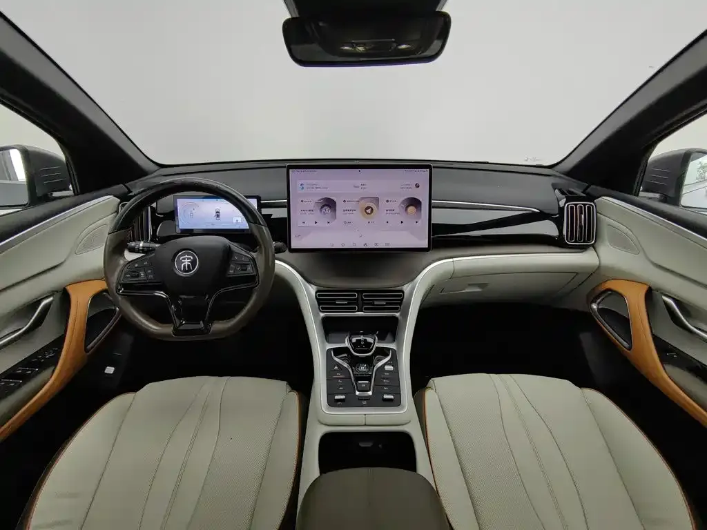 BYD Pro New Energy — фото 10