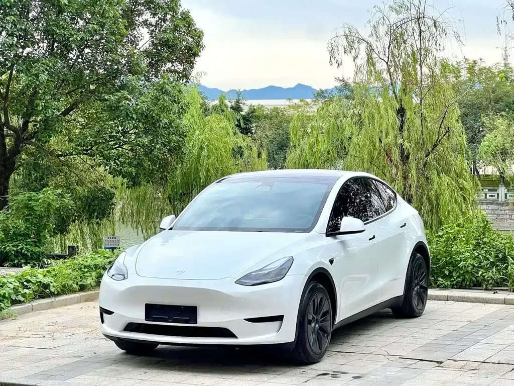 Tesla Model Y — фото 1