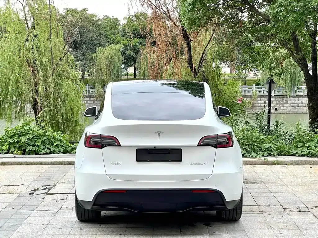 Tesla Model Y — фото 9