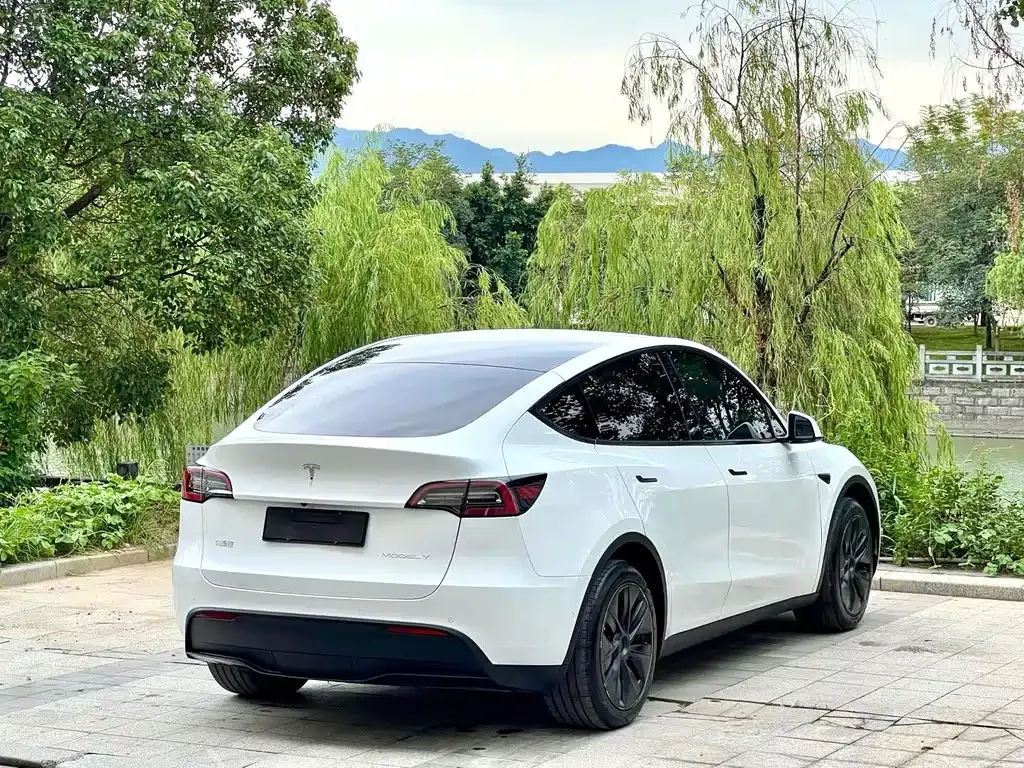 Tesla Model Y — фото 3