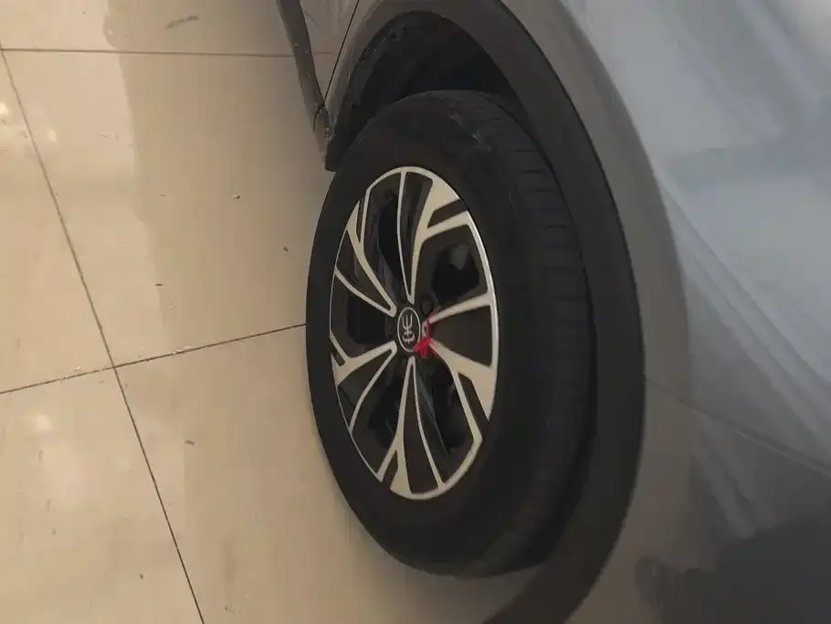 BYD Pro New Energy — фото 8