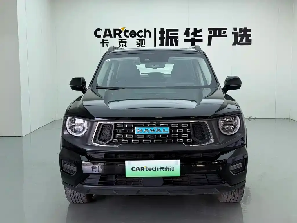 Haval Big Dog PLUS New Energy — фото 3