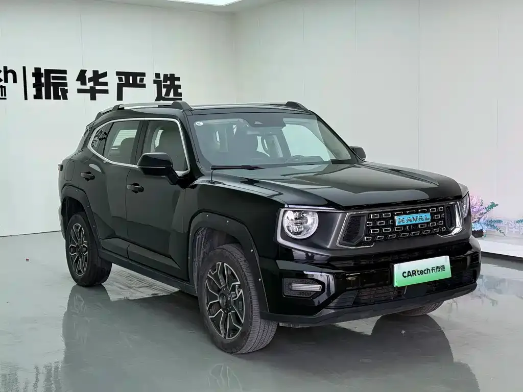 Haval Big Dog PLUS New Energy — фото 5