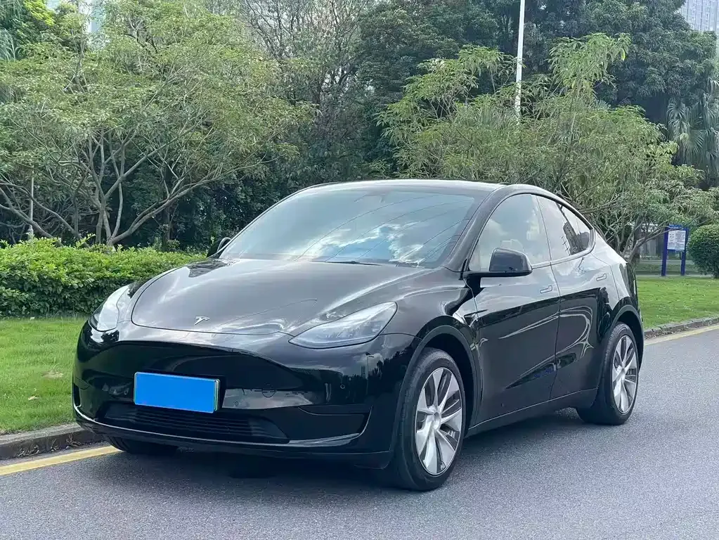 Tesla Model Y — фото 1