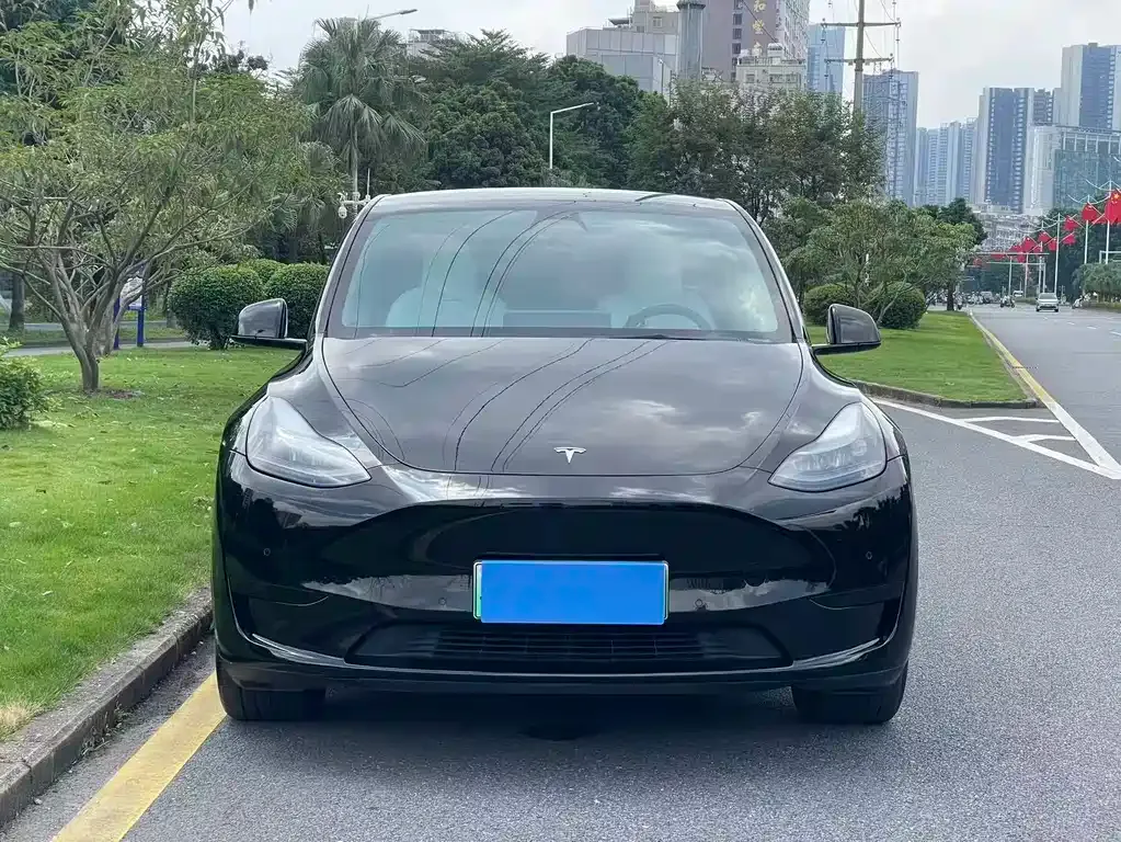 Tesla Model Y — фото 5
