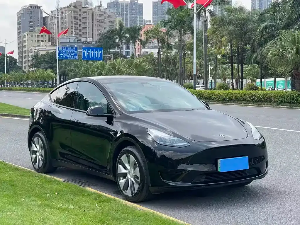 Tesla Model Y — фото 6