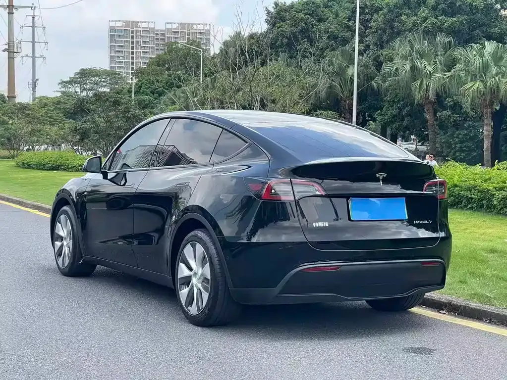 Tesla Model Y — фото 9