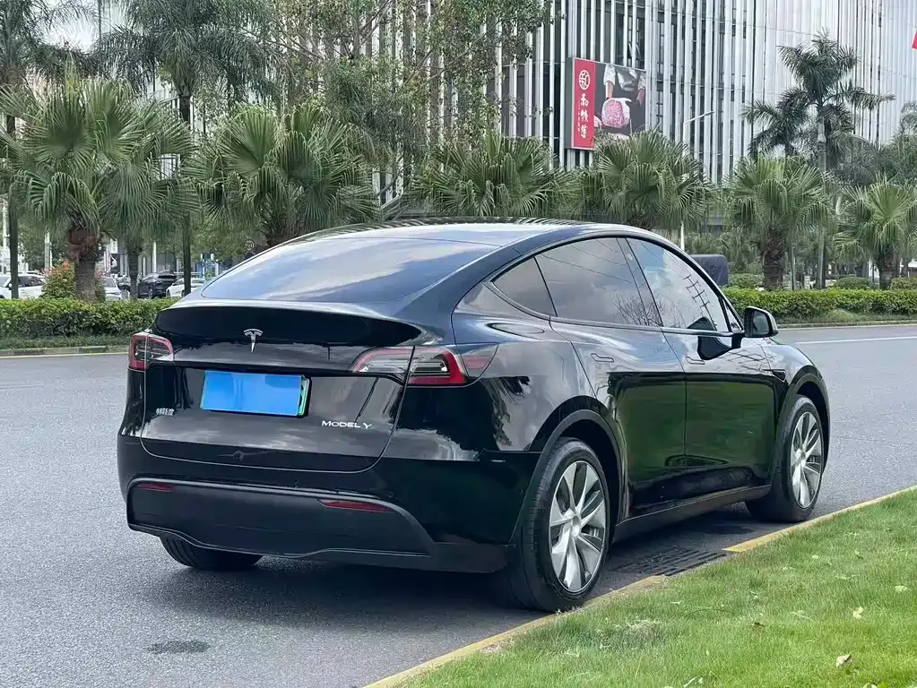 Tesla Model Y — фото 8