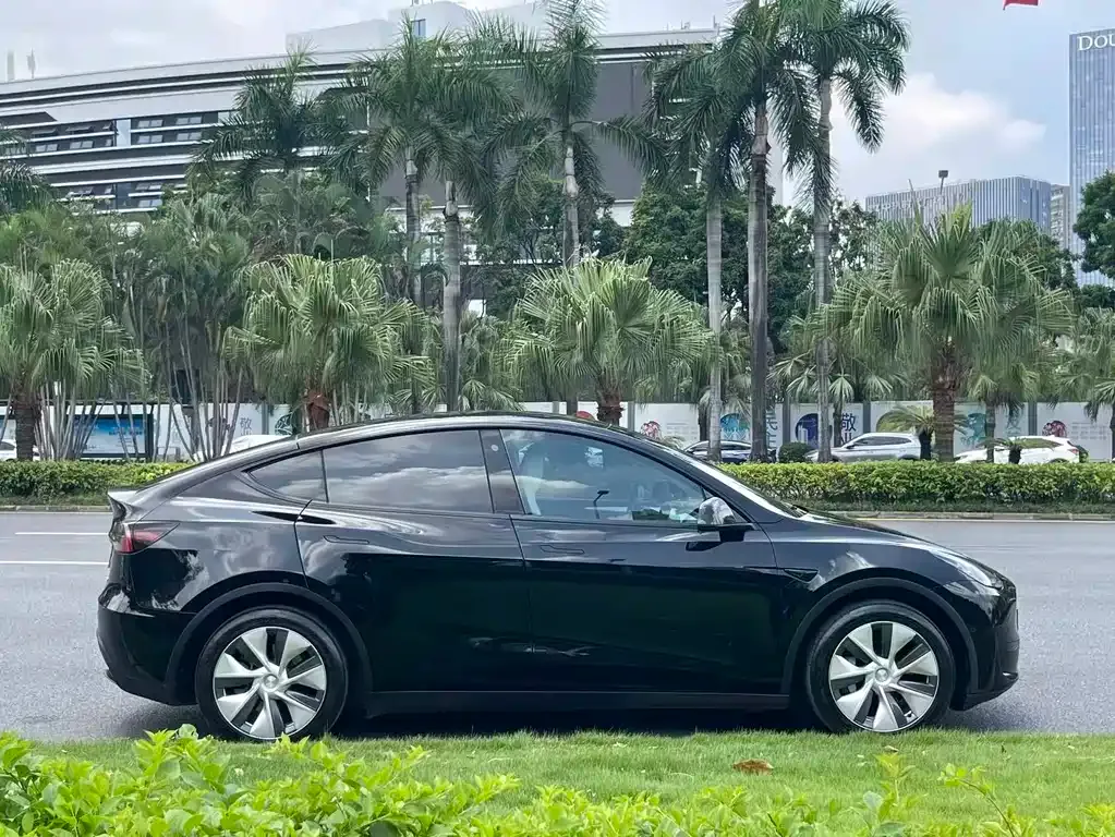 Tesla Model Y — фото 10