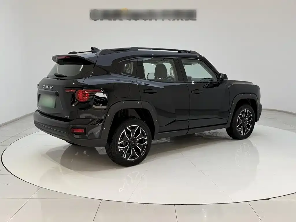 Haval Big Dog PLUS New Energy — фото 7