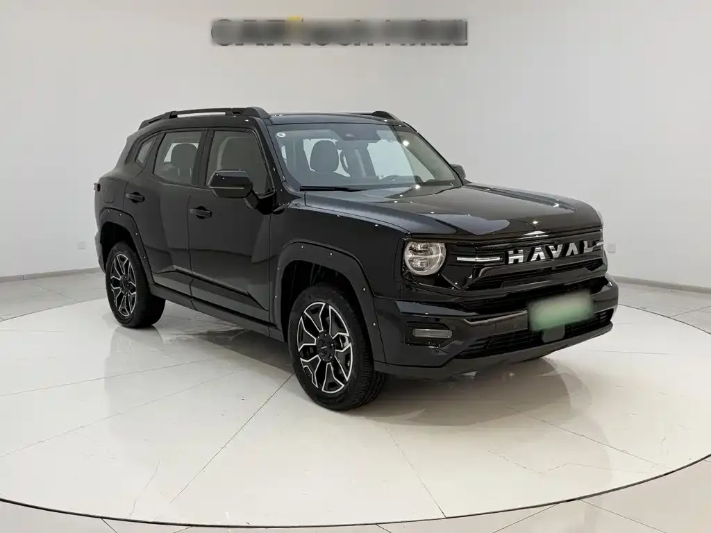 Haval Big Dog PLUS New Energy — фото 2