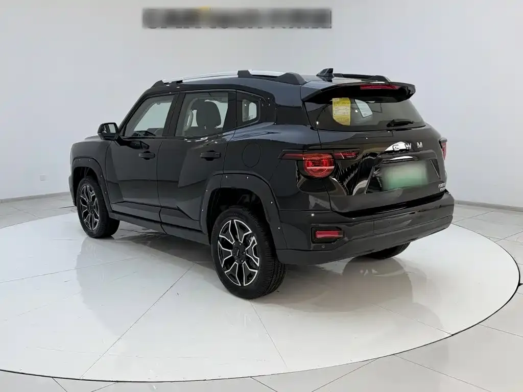 Haval Big Dog PLUS New Energy — фото 6