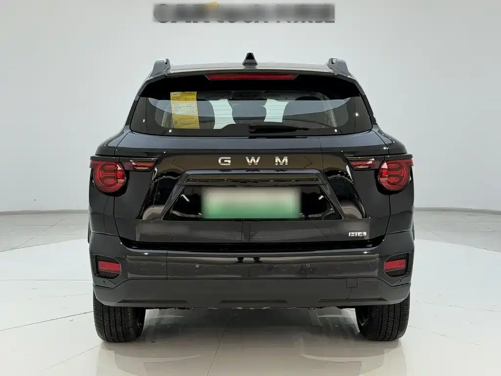 Haval Big Dog PLUS New Energy — фото 3