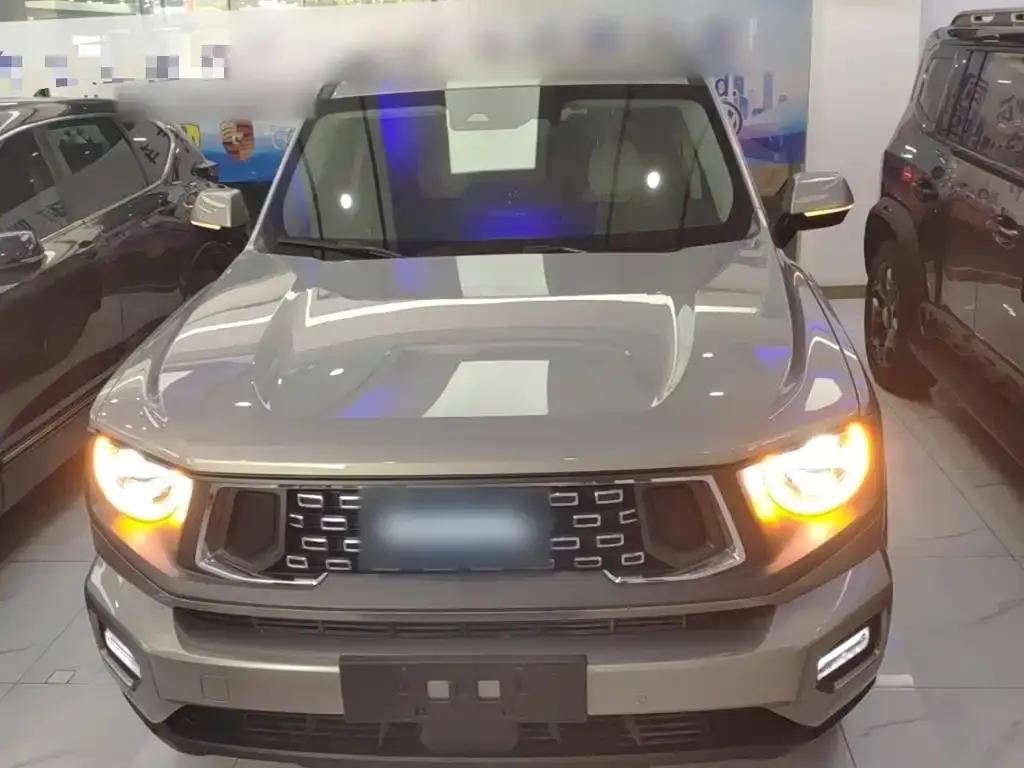 Haval Big Dog PLUS New Energy — фото 3