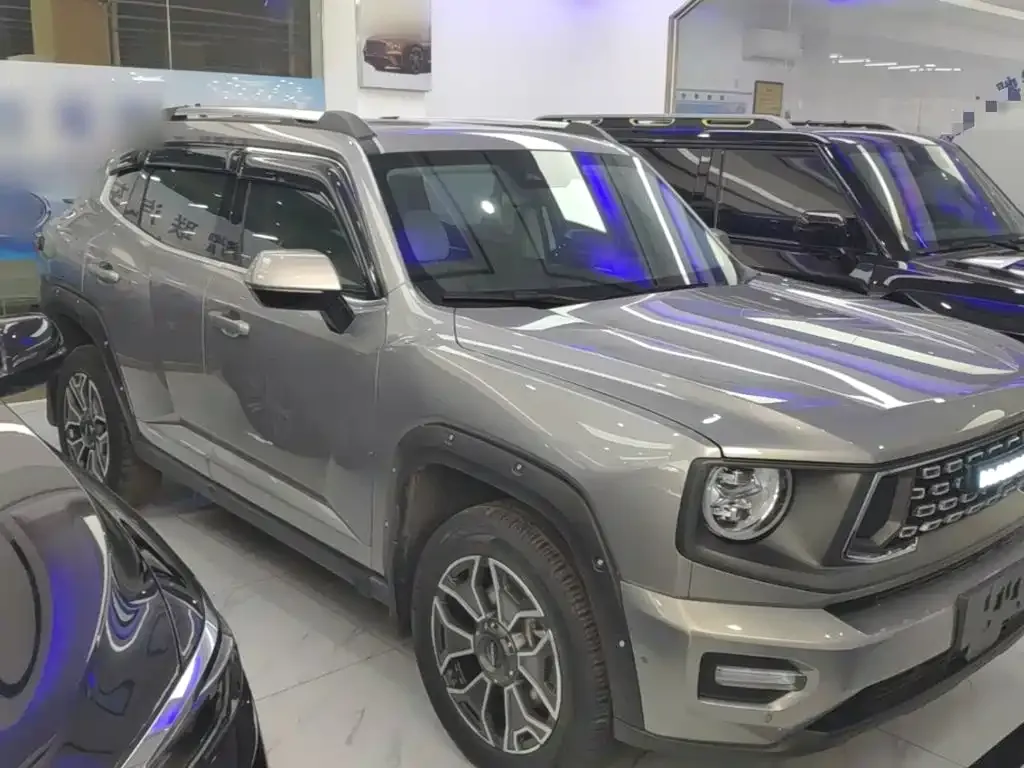 Haval Big Dog PLUS New Energy — фото 7