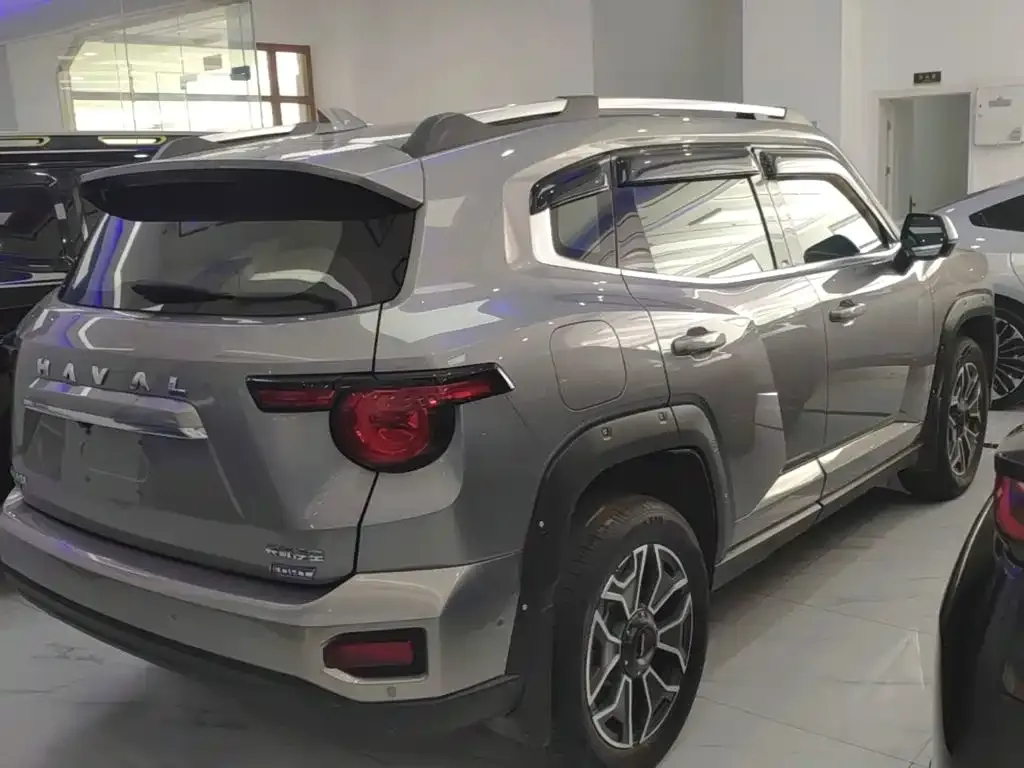 Haval Big Dog PLUS New Energy — фото 6