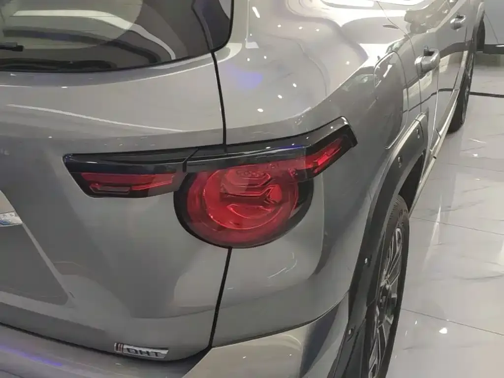 Haval Big Dog PLUS New Energy — фото 5
