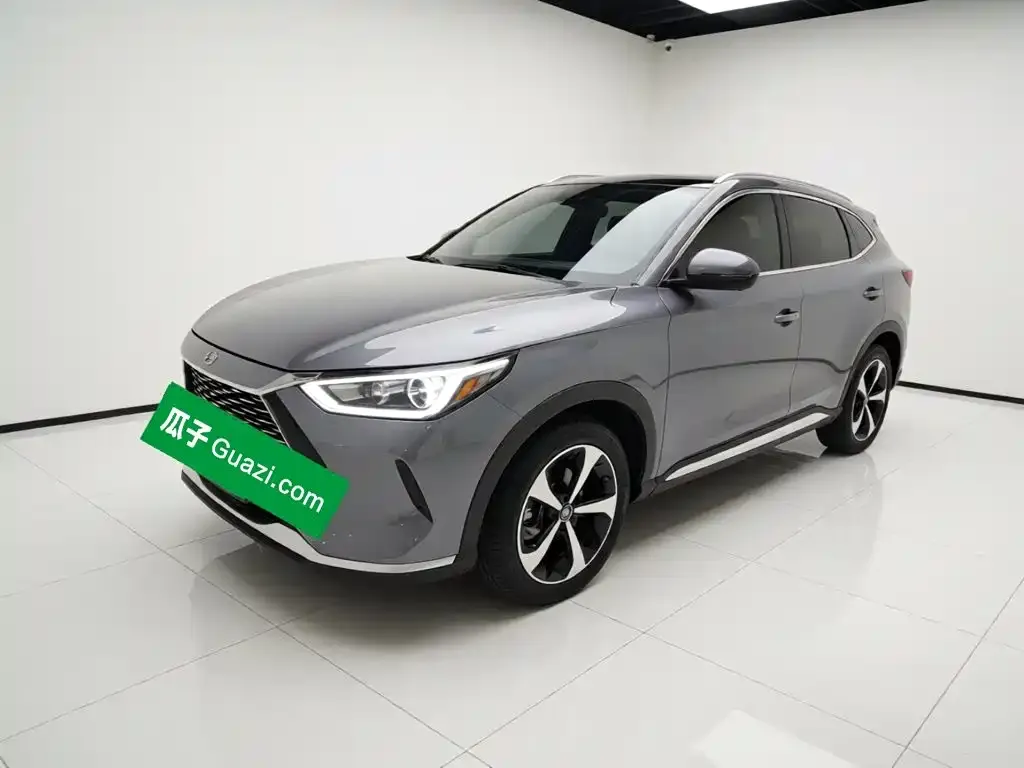 BYD PLUS New Energy — фото 1