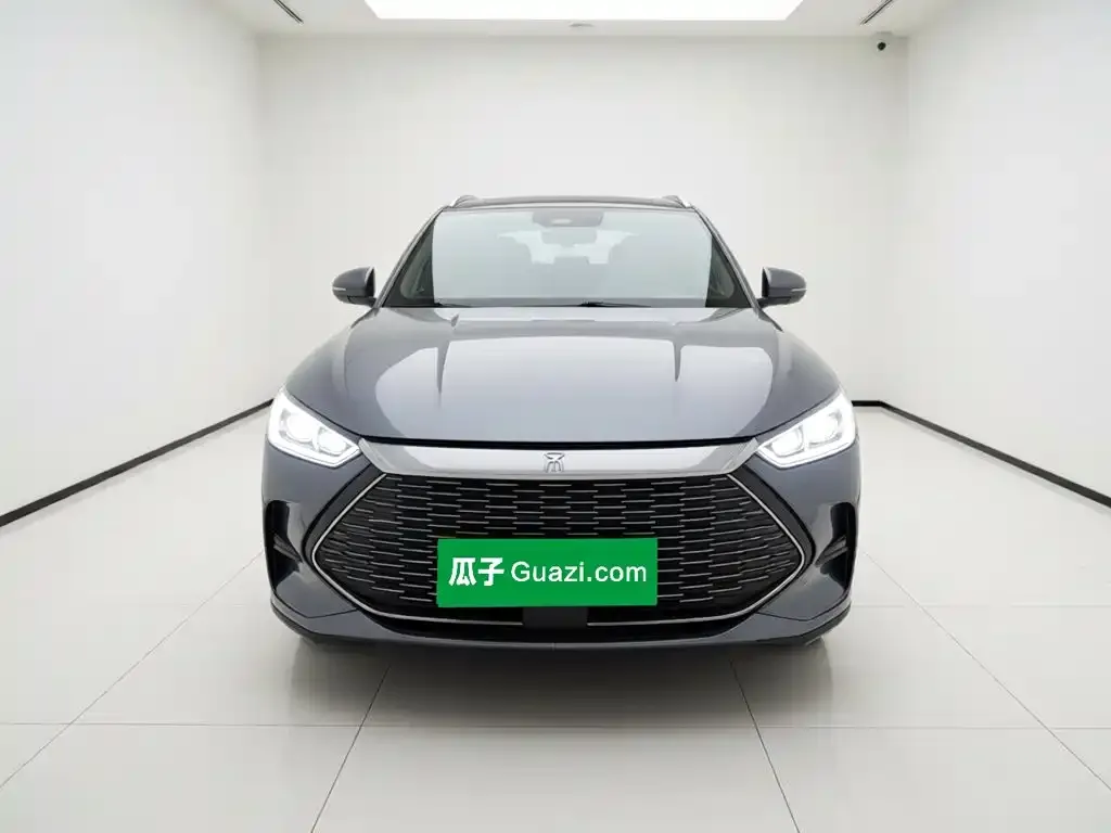 BYD PLUS New Energy — фото 6