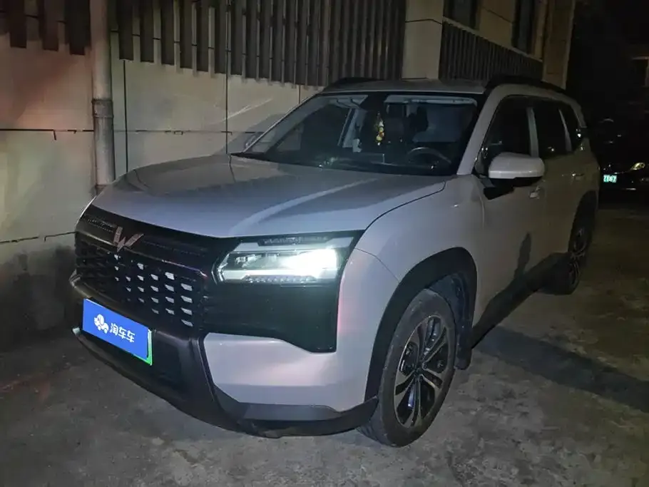 Wuling Xingguang 560 New Energy — фото 1