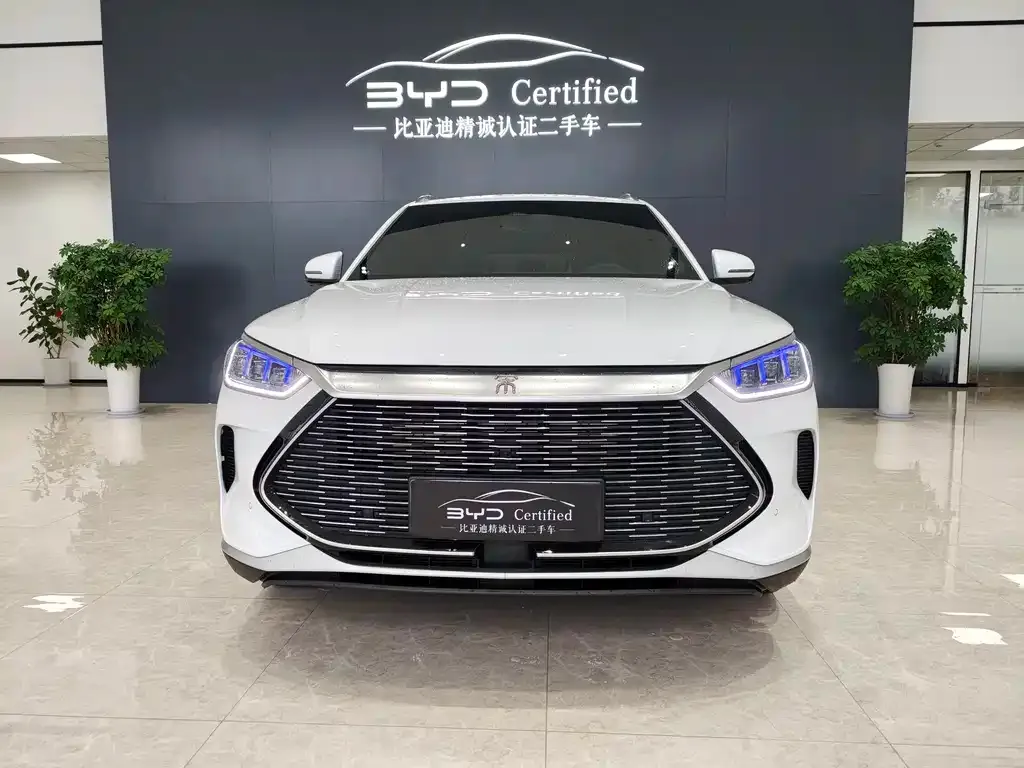BYD PLUS New Energy — фото 8