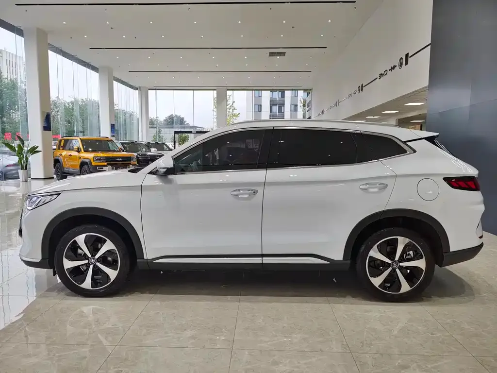 BYD PLUS New Energy — фото 4