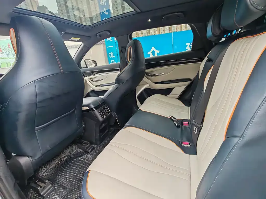 BYD PLUS New Energy — фото 4