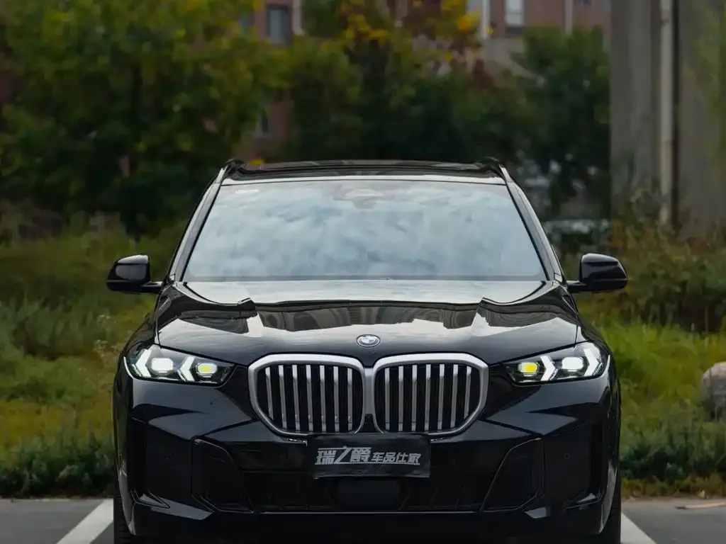BMW X5 — фото 9