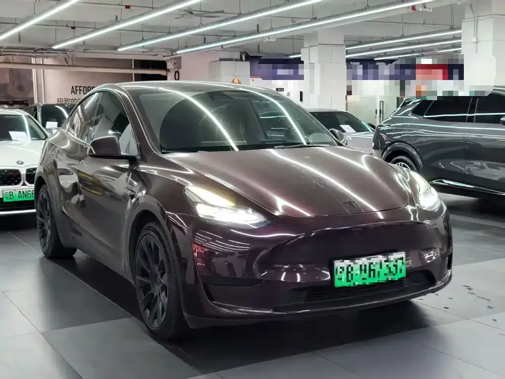 Tesla Model Y — фото 8