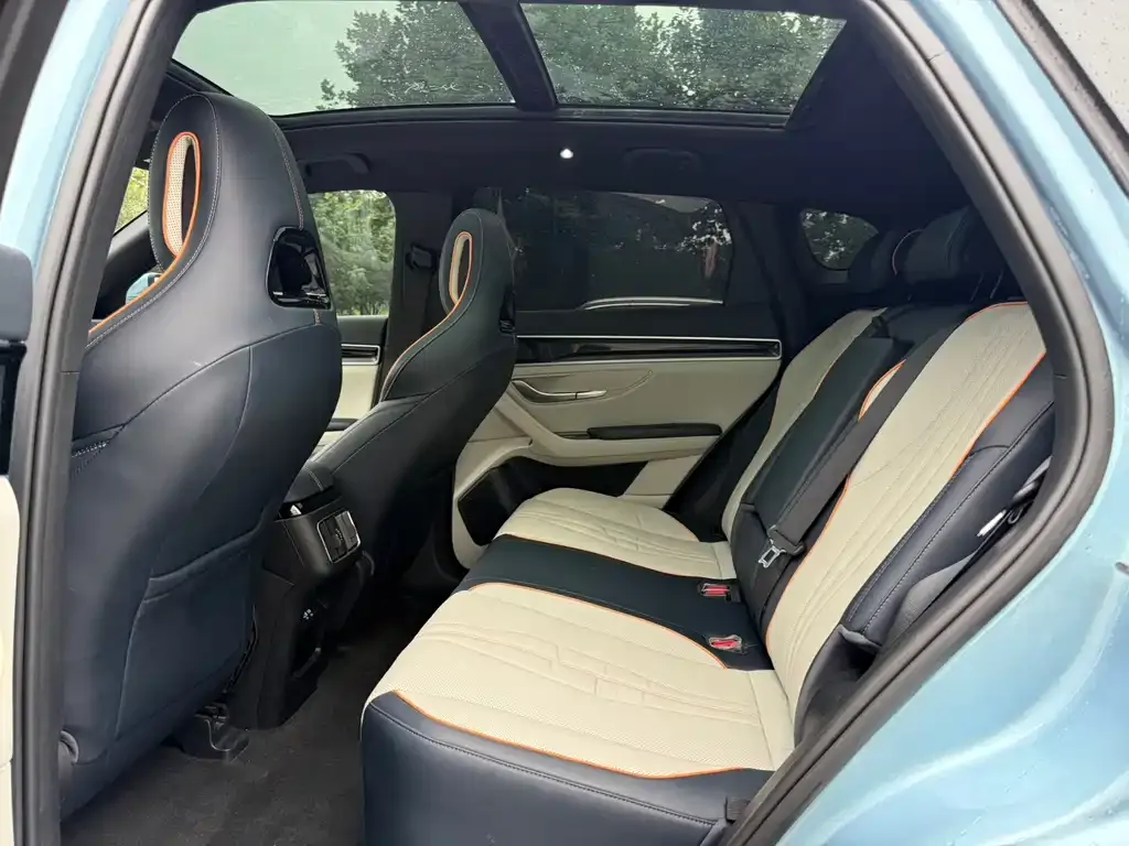 BYD PLUS New Energy — фото 10