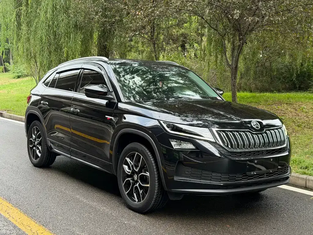 Skoda Kodiaq GT — фото 10
