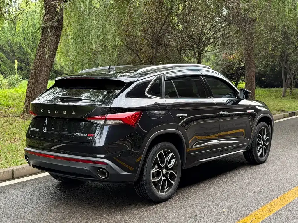 Skoda Kodiaq GT — фото 9