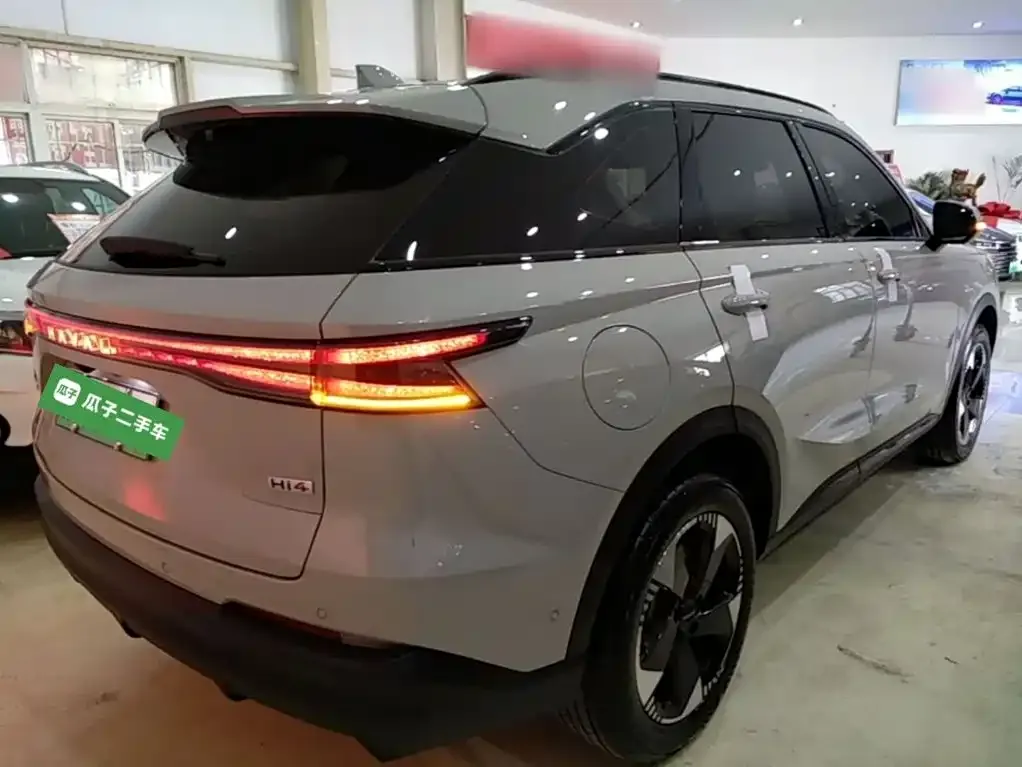 Haval Xiaolong MAX — фото 10