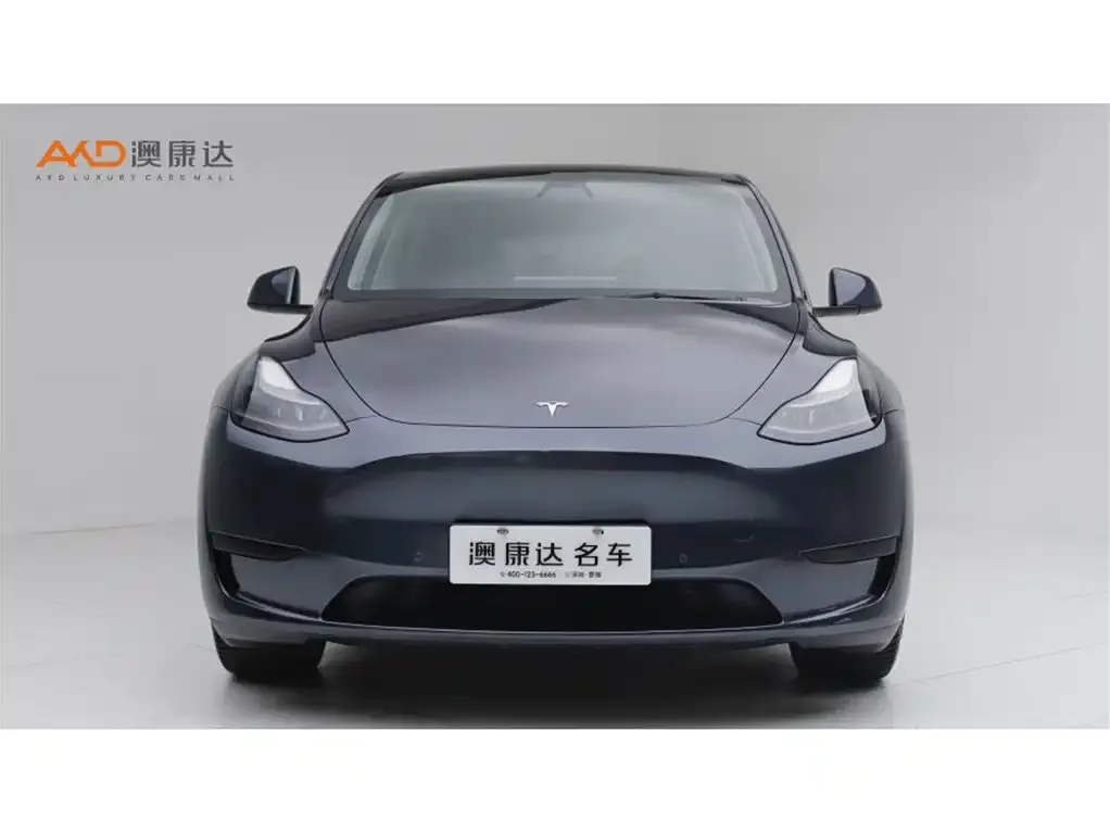 Tesla Model Y — фото 6