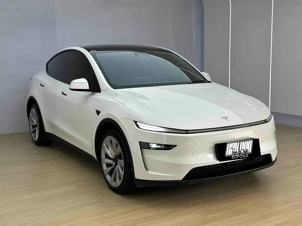 Tesla Model Y — фото 2