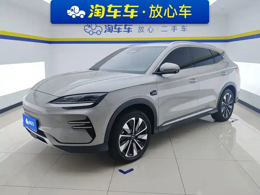 BYD PLUS New Energy — фото 1