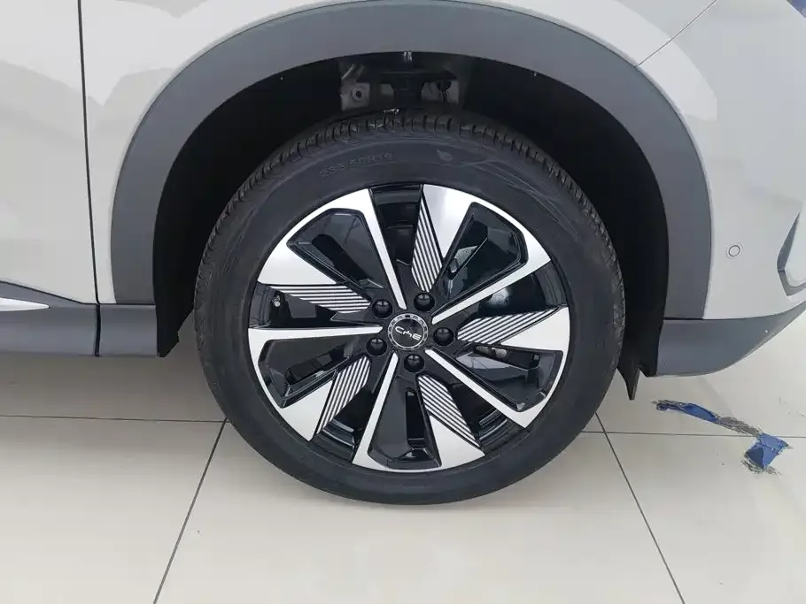 BYD PLUS New Energy — фото 9