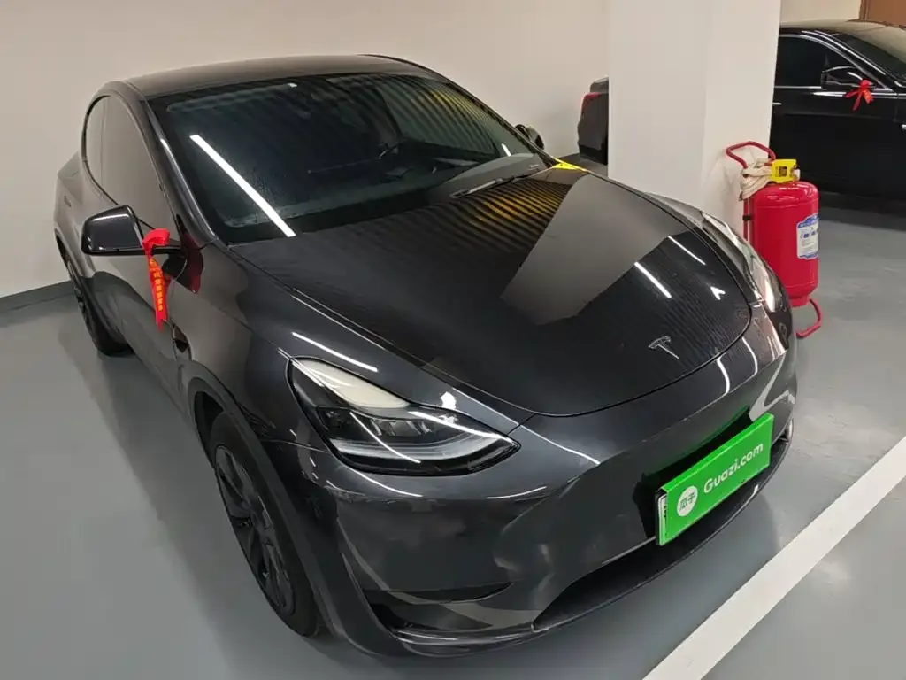 Tesla Model Y — фото 8
