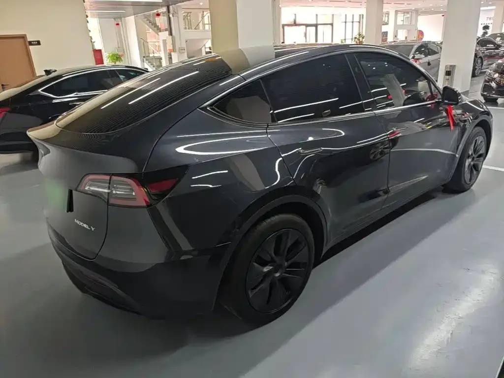 Tesla Model Y — фото 9