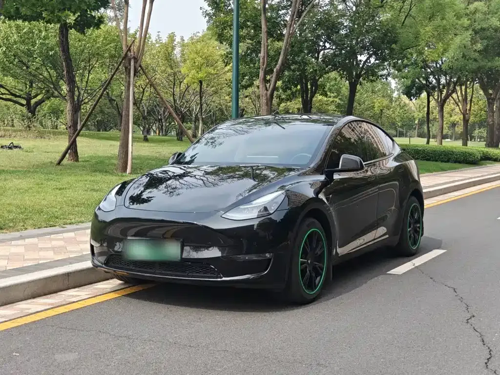 Tesla Model Y — фото 1