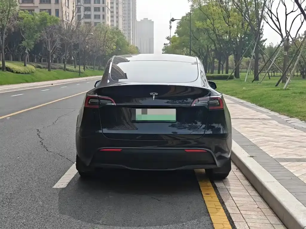 Tesla Model Y — фото 6
