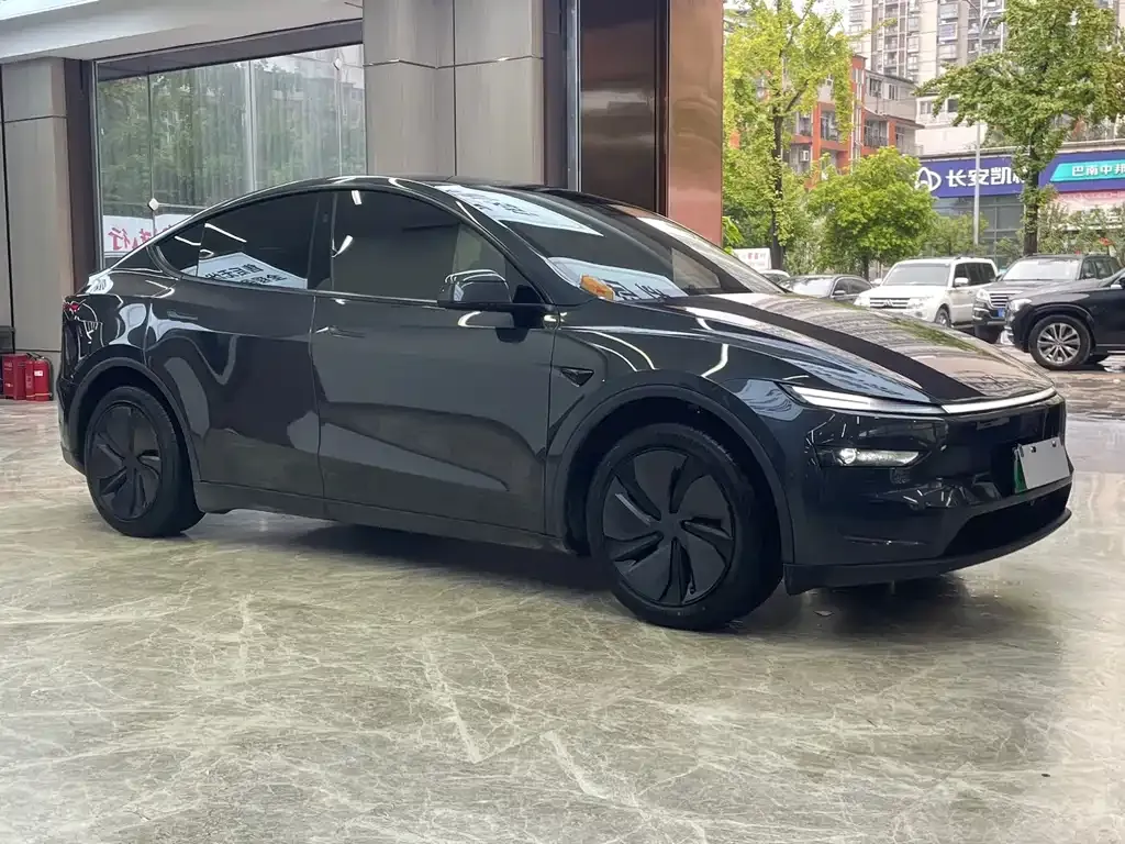 Tesla Model Y — фото 8