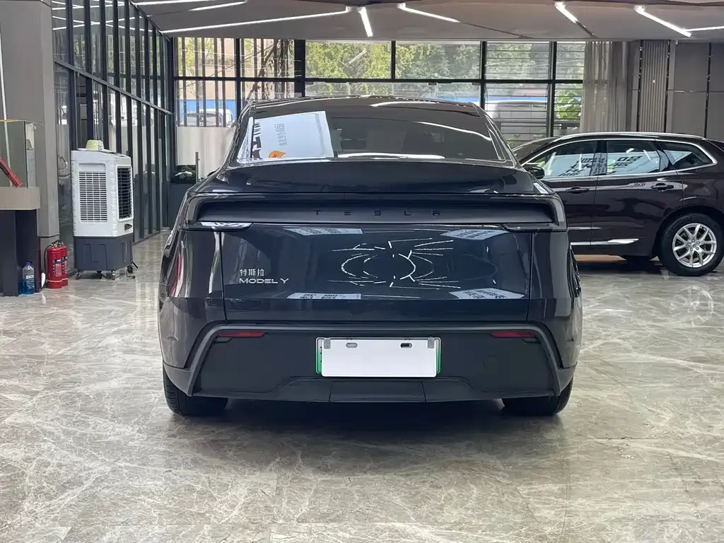 Tesla Model Y — фото 3