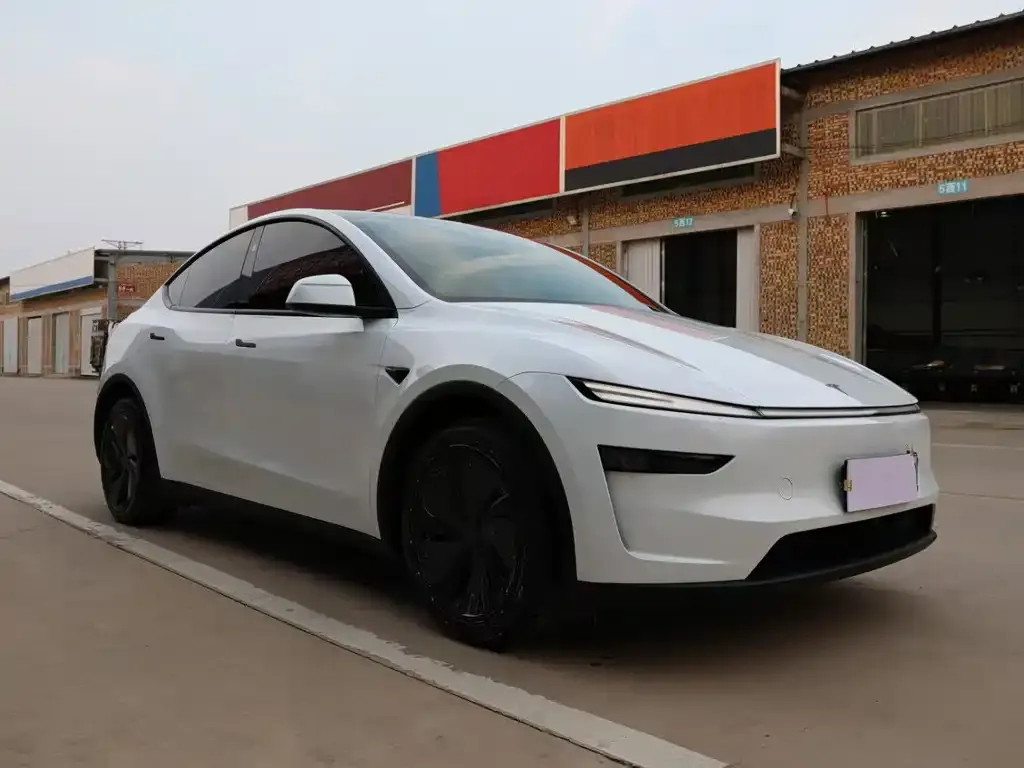 Tesla Model Y — фото 8