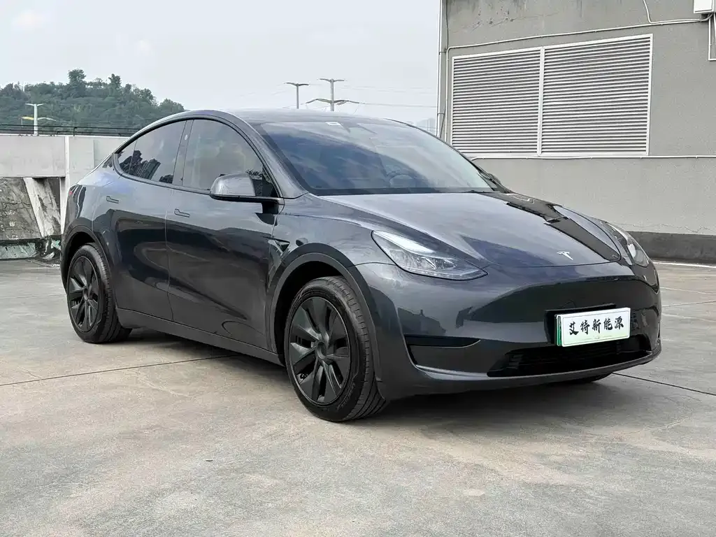 Tesla Model Y — фото 10