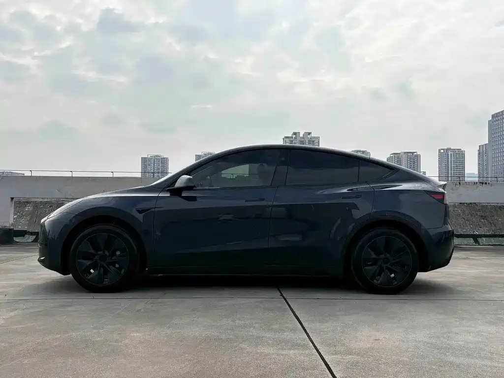 Tesla Model Y — фото 5