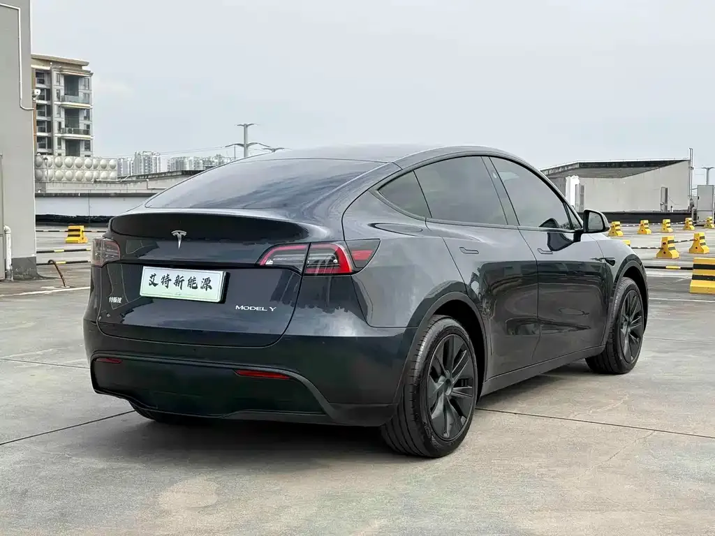 Tesla Model Y — фото 9