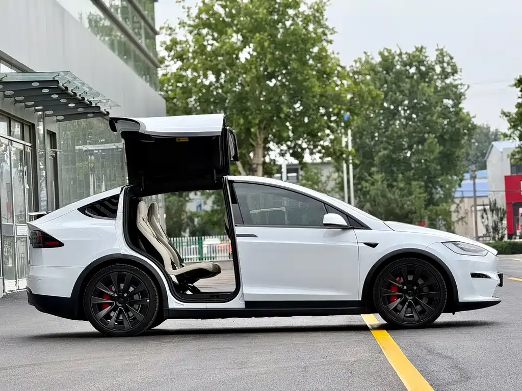 Tesla Model X — фото 5