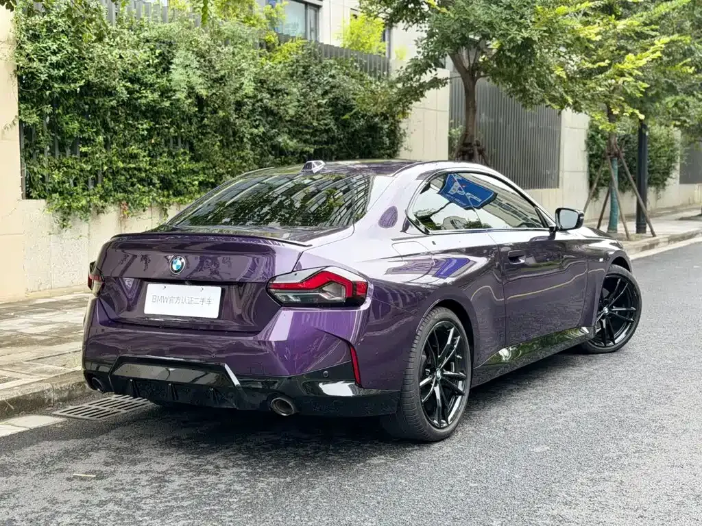 BMW 2 Series (Import) — фото 10