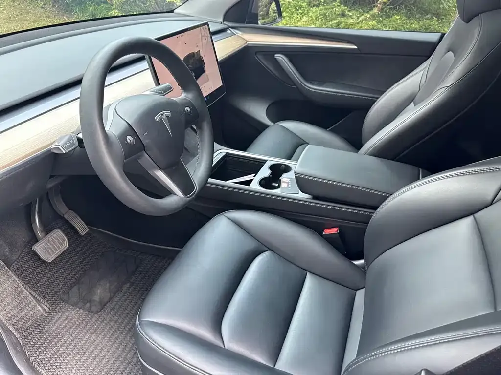 Tesla Model Y — фото 2